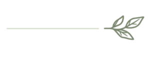 Understated Section Divider